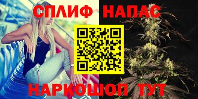 трава Кандалакша