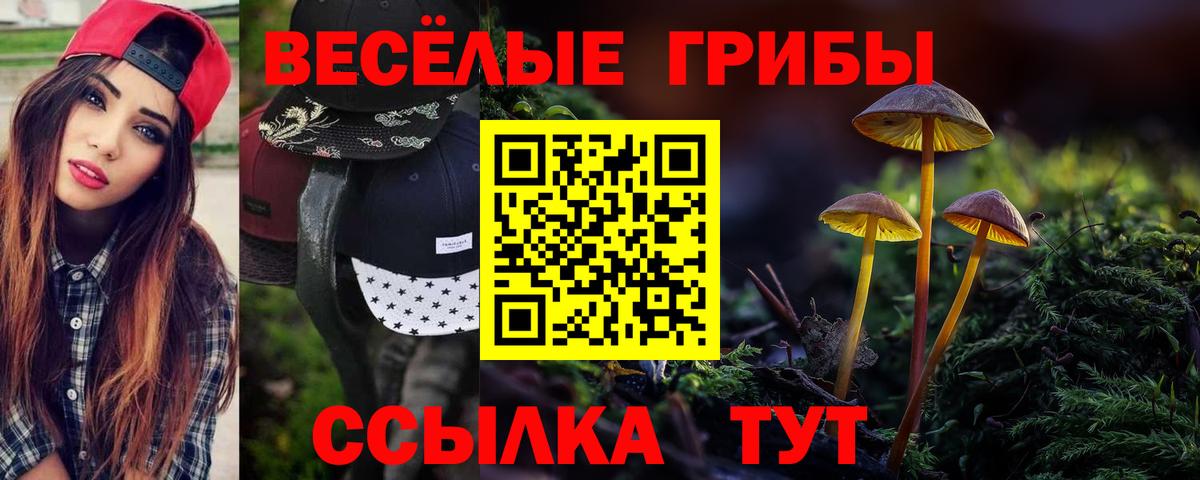Псилоцибиновые грибы мухоморы Шебекино